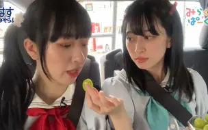 Télécharger la video: 【莲切片】本周的菅粉稳定发挥（附喂食）