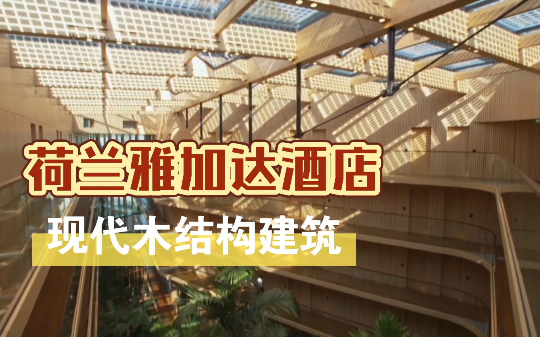 现代木结构建筑如何建造?今天带你走进荷兰最环保的酒店哔哩哔哩bilibili