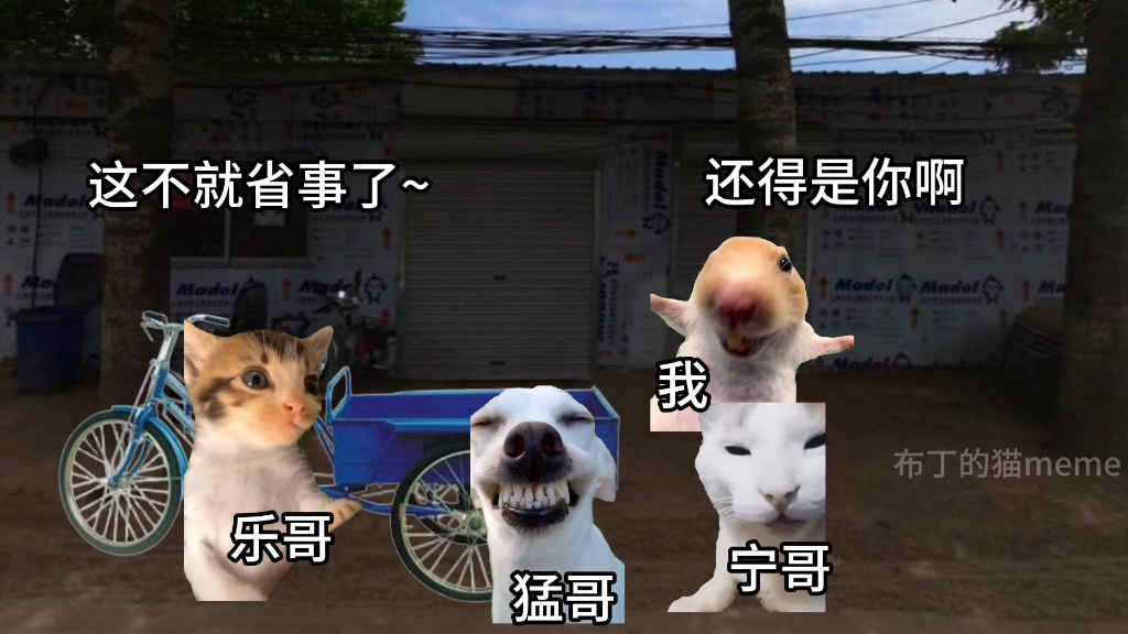 高中时学校组织跑马拉松