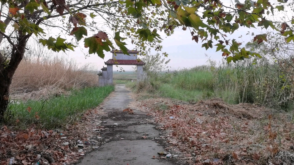 摩旅江西,探秘鄱阳湖中间小岛上的无人村,永修县吴城镇松门岛东湾村