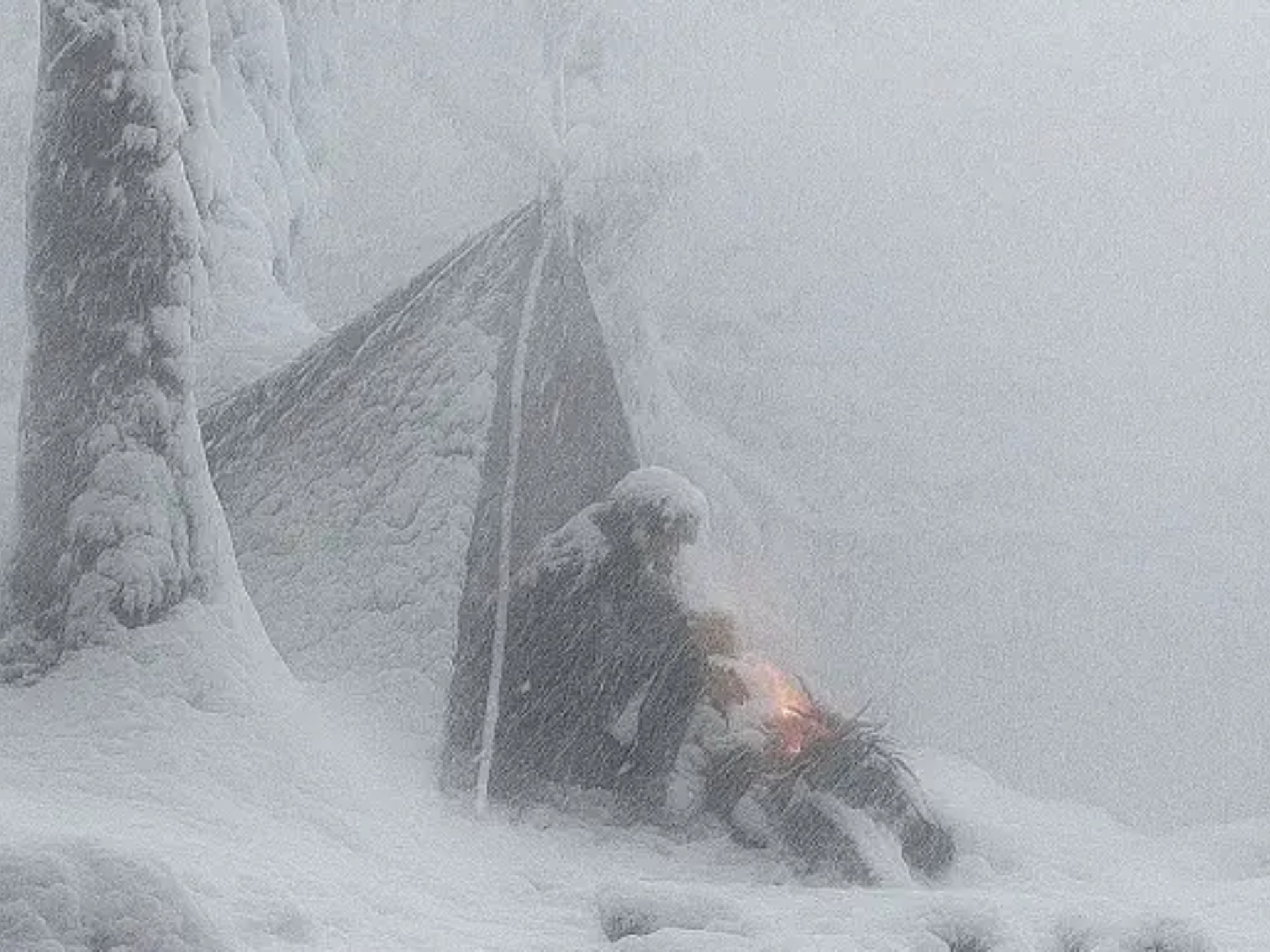 暴风雪持续期间,带着狗子在荒野生存七天,寒冷的夜晚烤火取暖,抱着狗