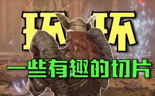 Download Video: 【法环随机MOD】狗蛋家10086代传人的二三趣事