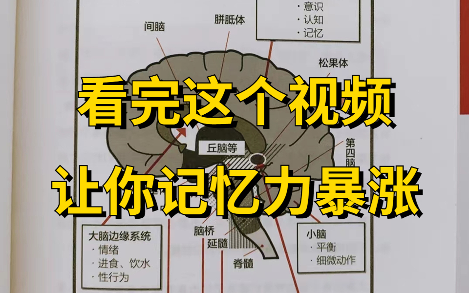 [图]学霸都在偷偷使用的超强记忆法【不看后悔】不要假努力！清华老学长强推记忆法从此告别死记硬背|快速提高学习成绩|提高记忆力|记忆力训练方法|如何快速记忆|记忆力提升