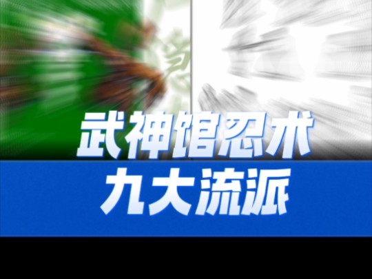 武神馆忍术九大流派:户隐流/云隐流/玉心流/九鬼神流玉鉴流/高木扬心流/神传不动流打拳体术Bujinkan Schools哔哩哔哩bilibili