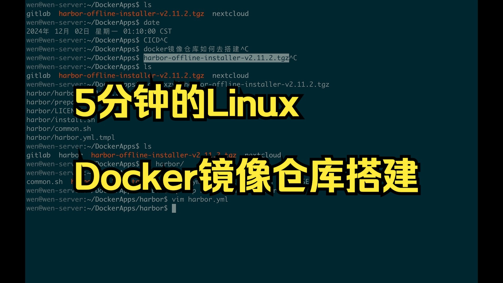 5分钟的Linuxdocker镜像仓库搭建哔哩哔哩bilibili