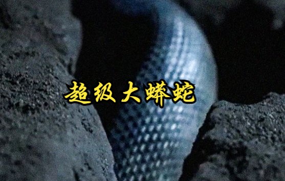 【巴西】【纪录片】超级大蟒蛇 Super boa constrictor哔哩哔哩bilibili