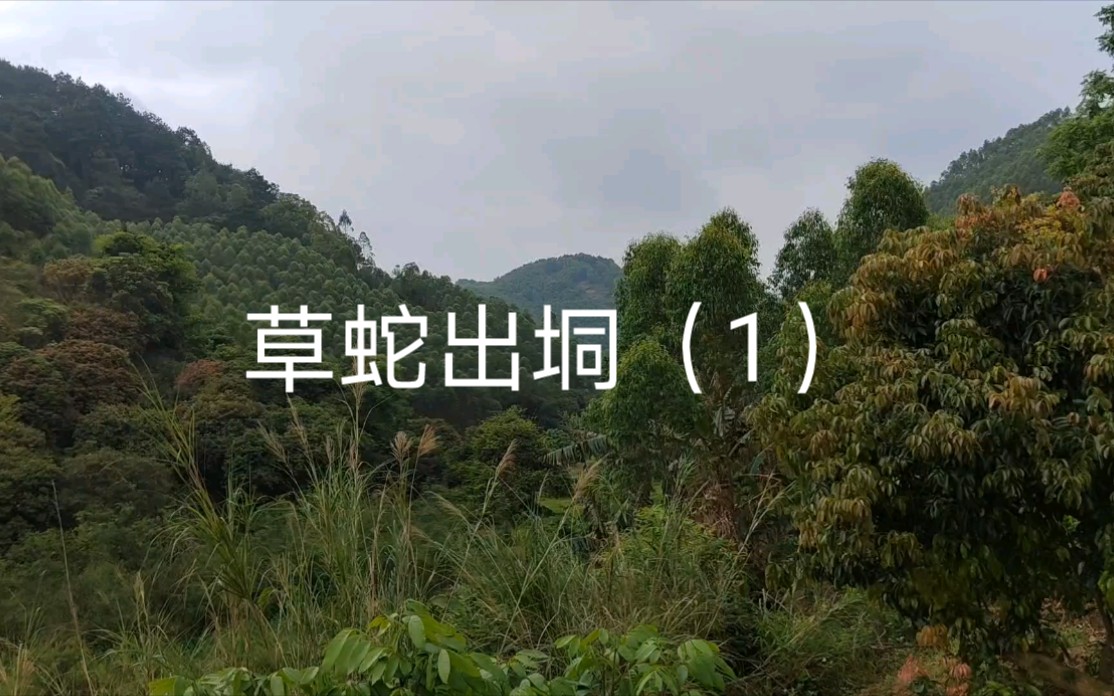 虚花假穴,俗人就喜欢这样的.哔哩哔哩bilibili