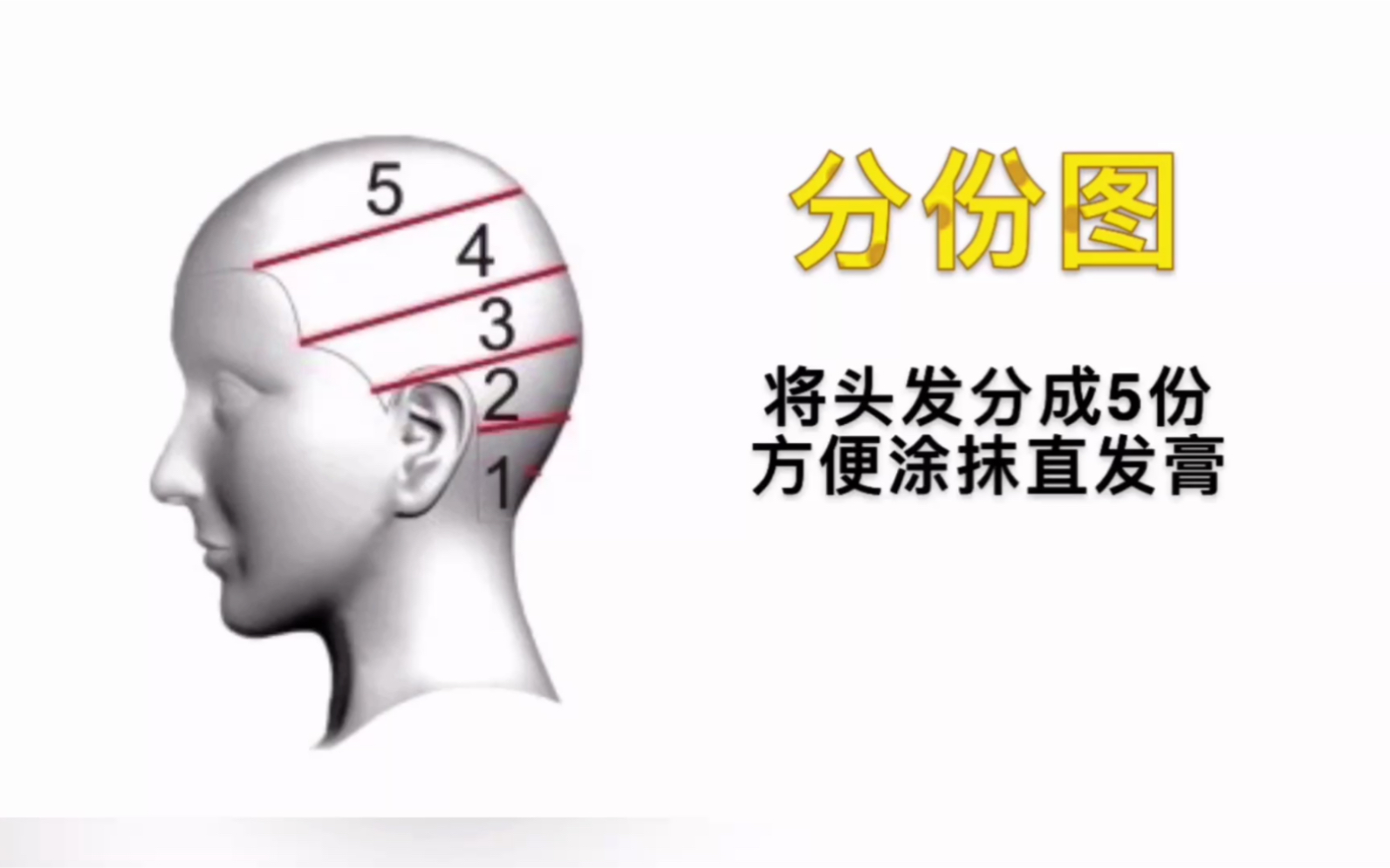 在家染发拉直发软化发片分份的方法,如何用最好的夹子分出既合理,又好