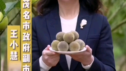 感谢茂名市市政府副市长,王小慧为化州橘红代言,让化州橘红成为化州一