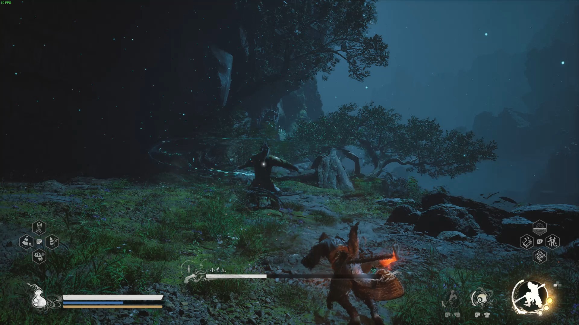 完美定身无伤暴揍六周目小黄龙