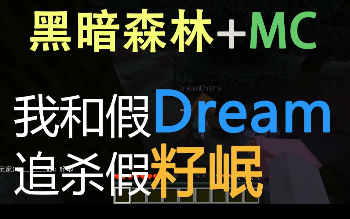 [图][MC]黑暗森林生存#1 我和"Dream"追杀"籽岷"