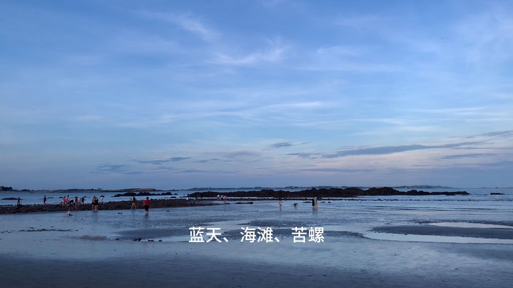 又是一个捡海螺的下午#赶海#阿峰赶海视频#户外