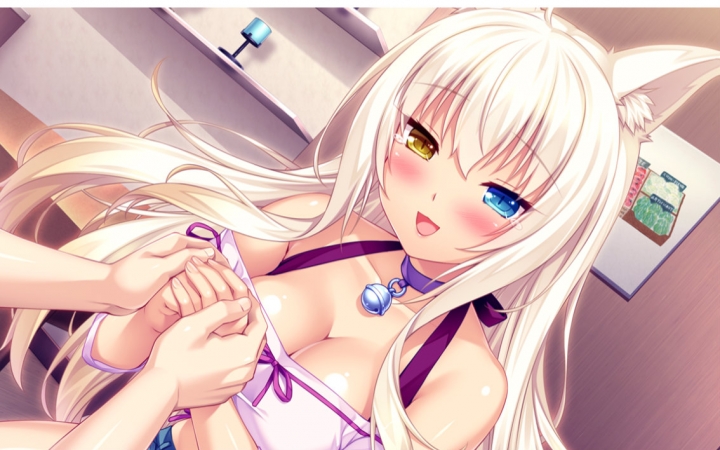 [图]nekopara vol.2 第二章 女主人不在家，椰子送上门来