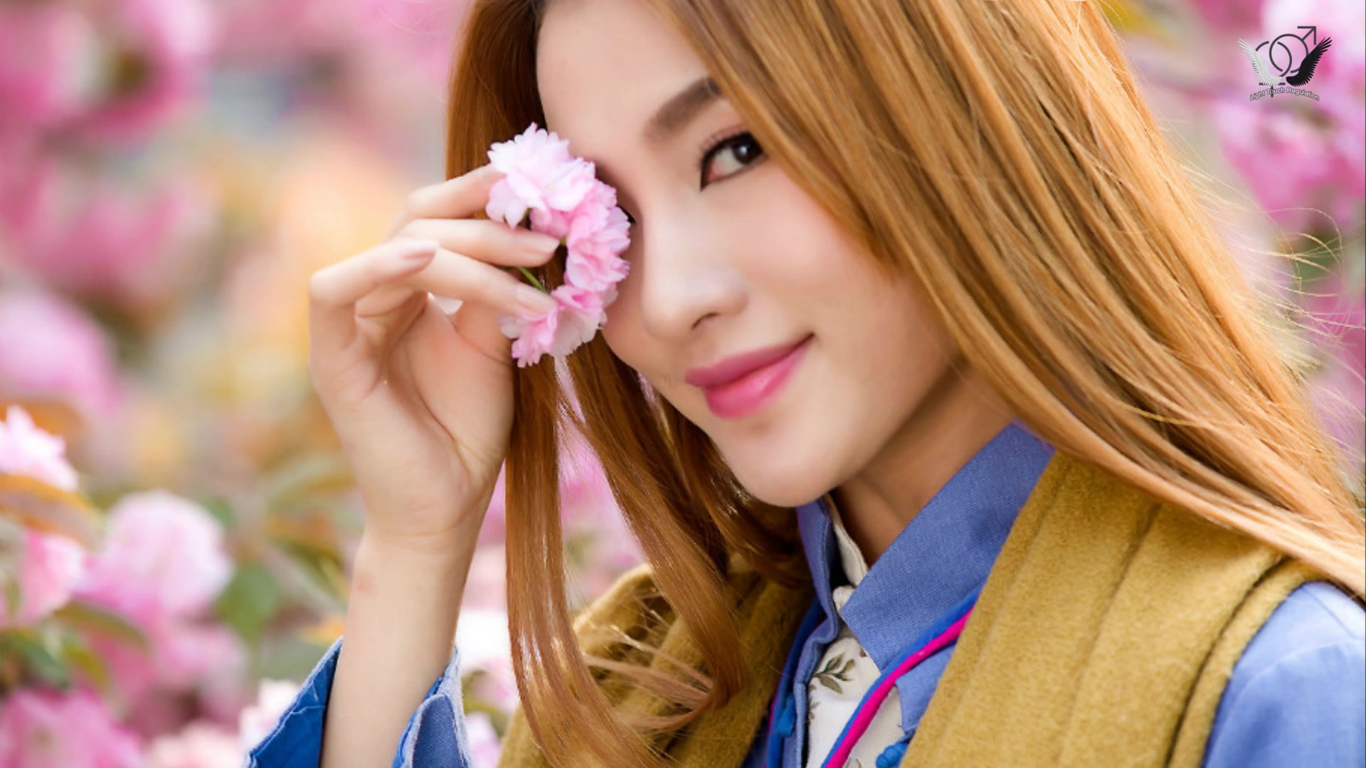 痴心绝对 - 施艾敏 - sammy_哔哩哔哩 (゜-゜)つロ 干杯~-bilibili