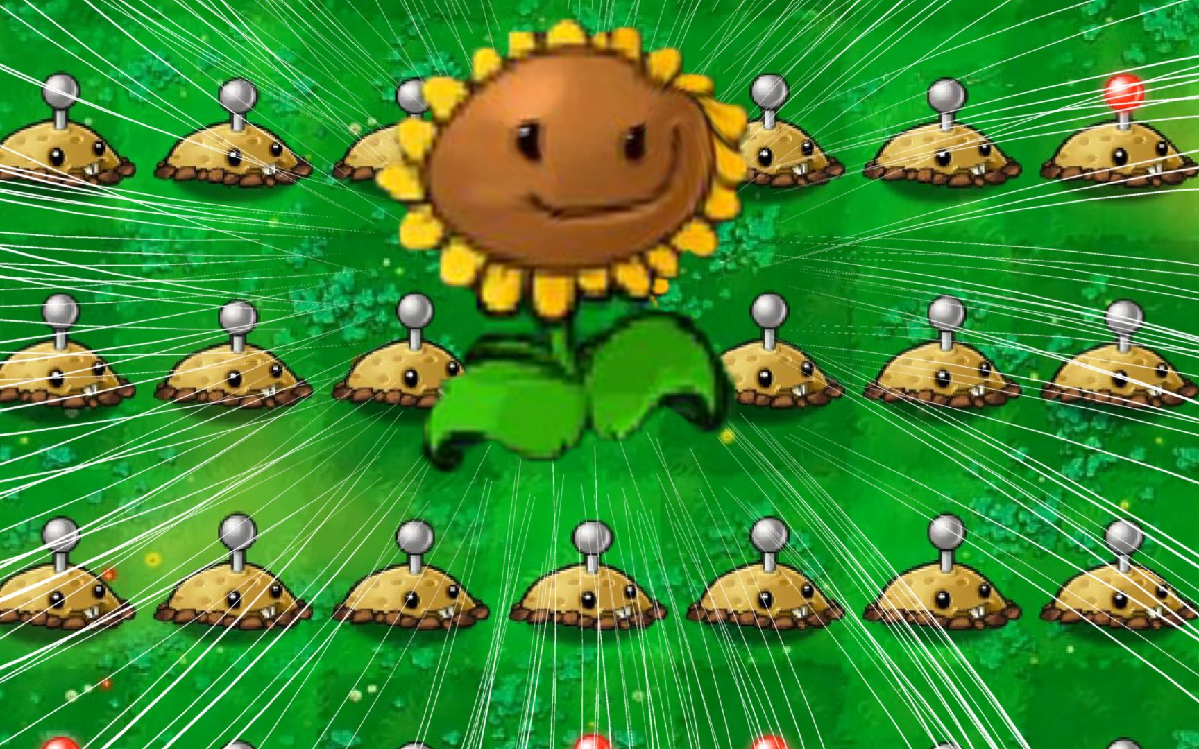 【这些植物有点憨】向日葵：有阳光就是可以为所欲为！
