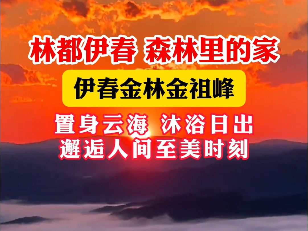 【林都伊春ⷦ㮦ž—里的家】伊春金林金祖峰,置身云海,沐浴日出,邂逅人间至美时刻哔哩哔哩bilibili