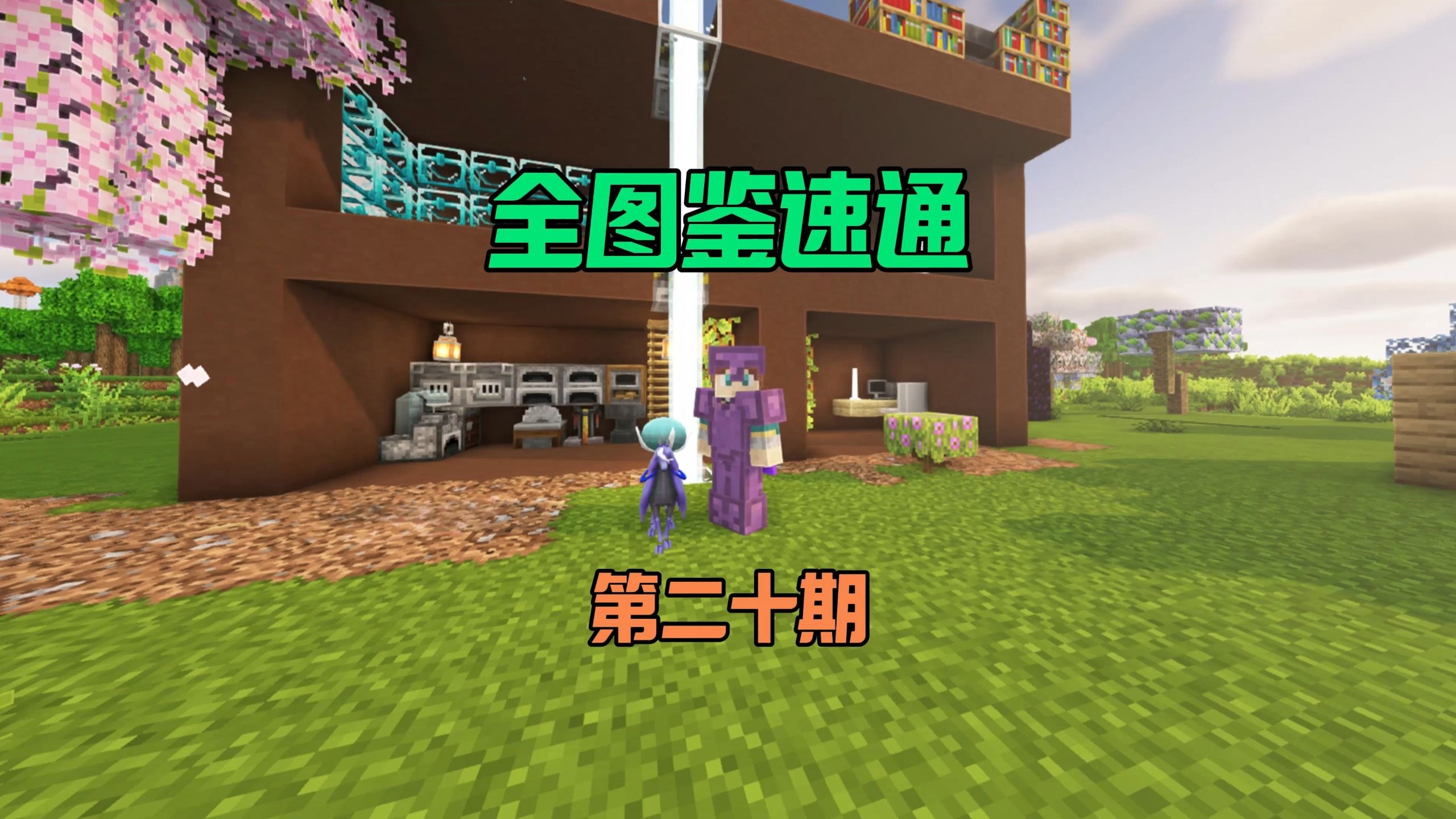 全图鉴速通20:我有极品的黑马蕾冠王啦