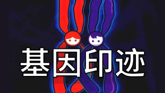 表观遗传系列-8. 基因印迹：男染色体？女染色体？如何区分染色体的"性别"？