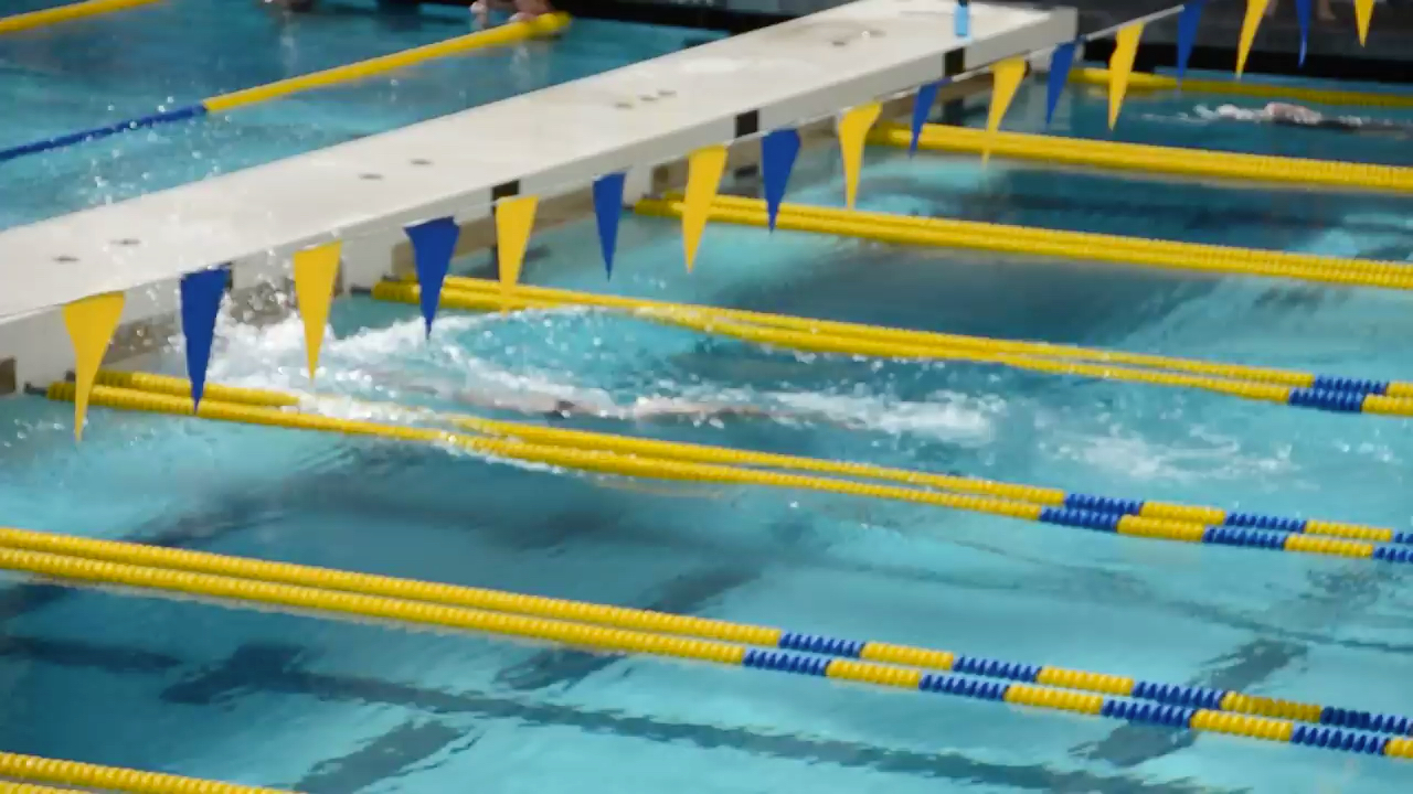 Anthony Ervin 50码自由泳20.78秒(加州大学期间)哔哩哔哩bilibili