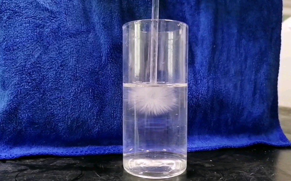 点水成冰小实验特别的蒲公英or雪绒花