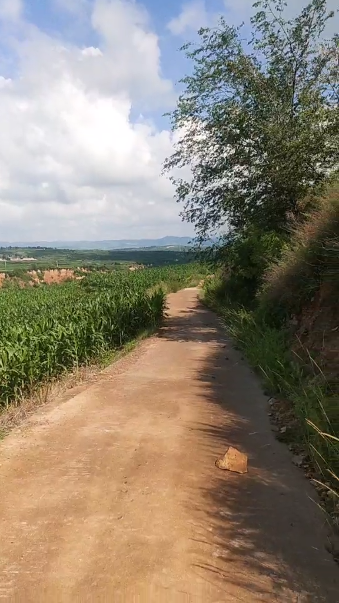 雨后田边现拍美丽的水泥小路