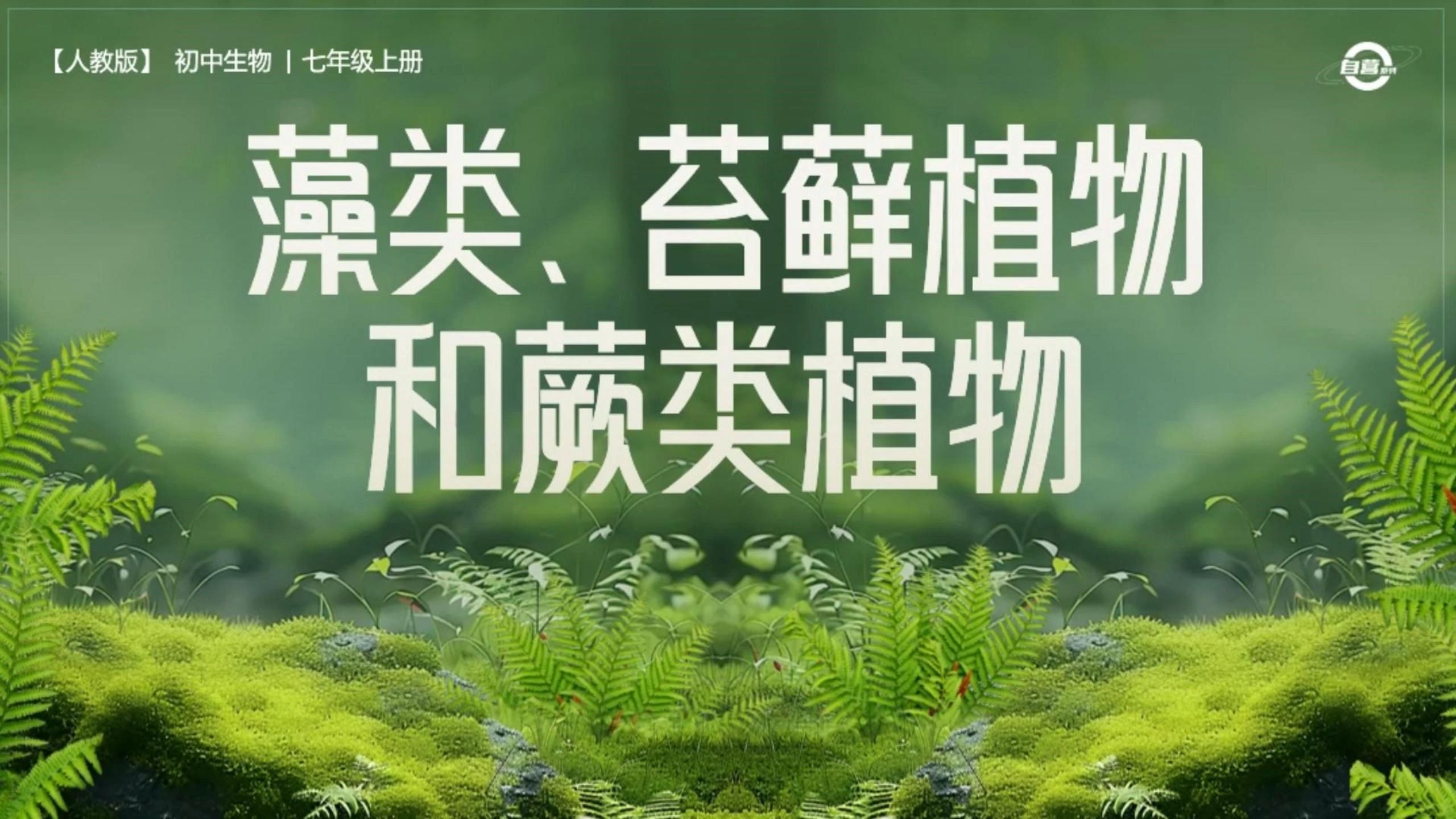 藻类植物ppt课件图片