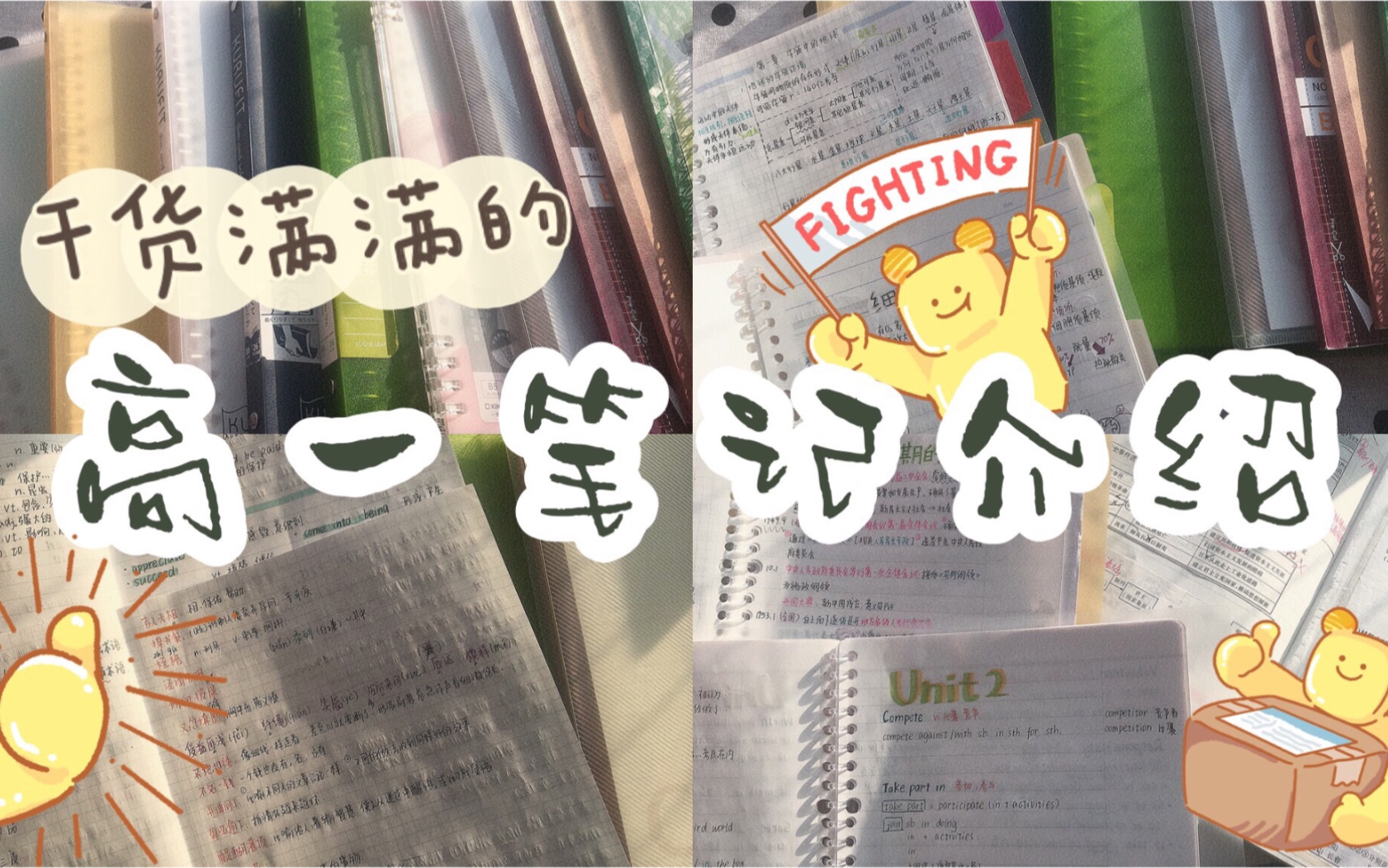 【高一学生是怎样记笔记的？】我的高一笔记分享|笔记介绍|笔记体系|安利干货向|看看我的笔记叭！！