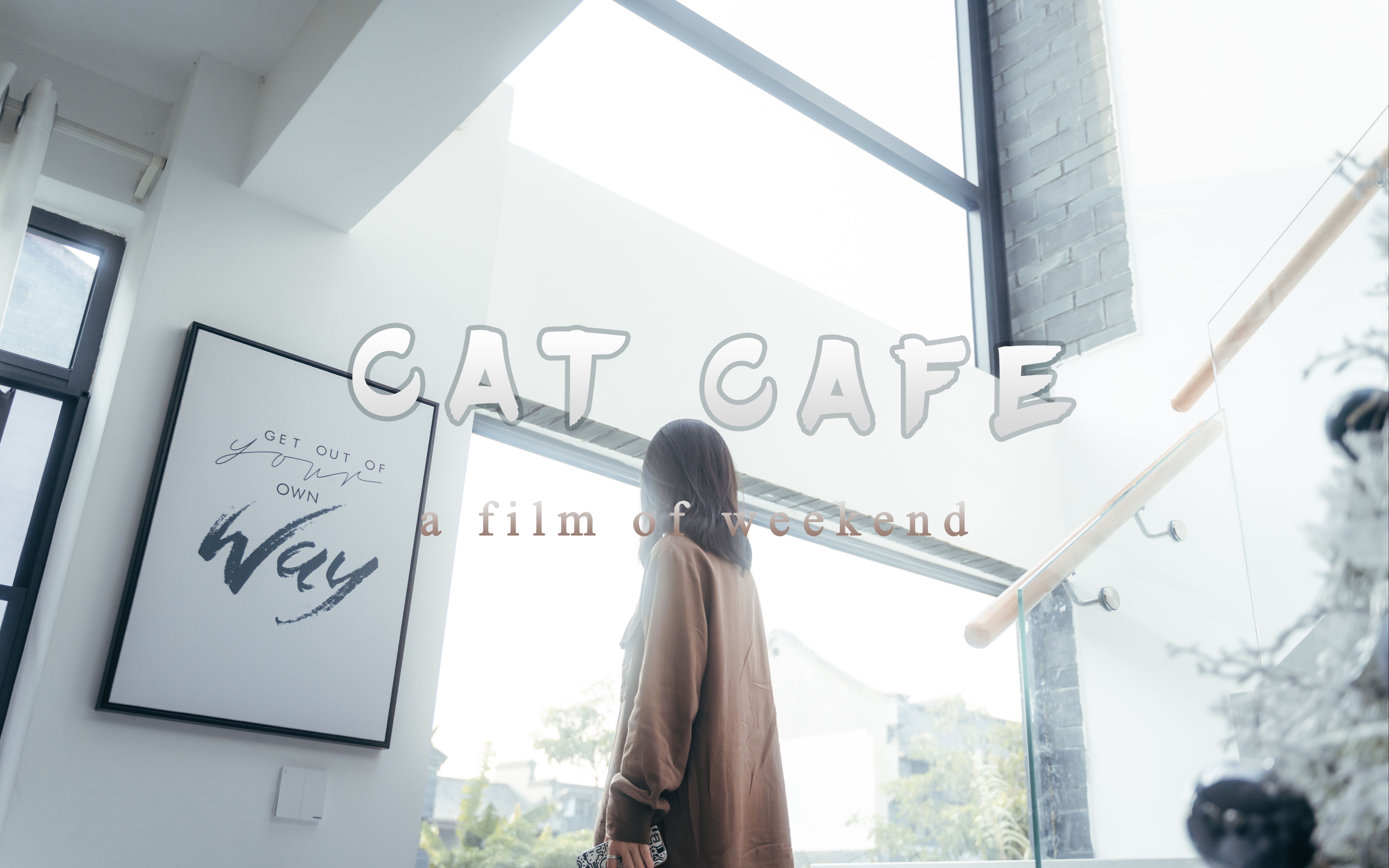 [图]【4K】Cat Cafe | 周末vlog | ZCAM