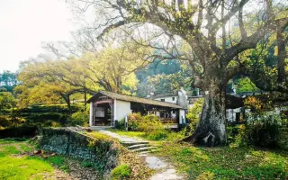 剪辑师素材-超高清高山湖泊自然绝美壮观大气旅游摄影田野风景记录素材~短视频剪辑师制作中需要用到的空镜头转场素材积累~等视频剪辑软件常用素材库