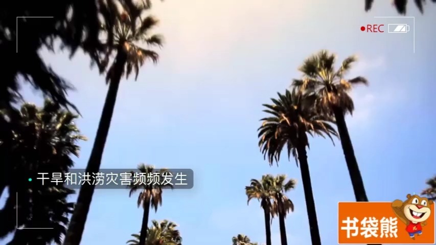 28. 生物圈中的碳—氧平衡