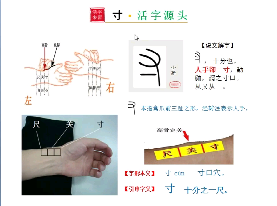 【寸】用来把脉的寸口穴哔哩哔哩bilibili