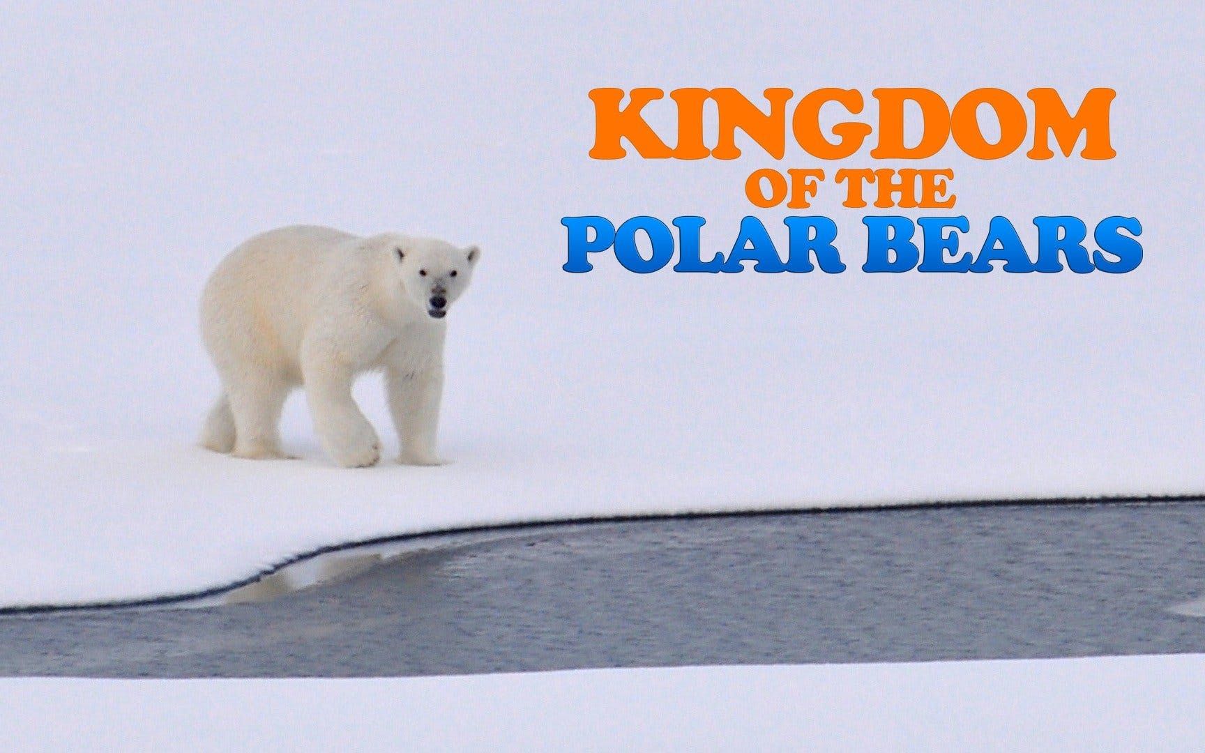 [图]北极熊王国 第一季 Kingdom of the Polar Bears