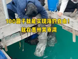 Download Video: 出海钓鱼2天一夜只需100就能体验