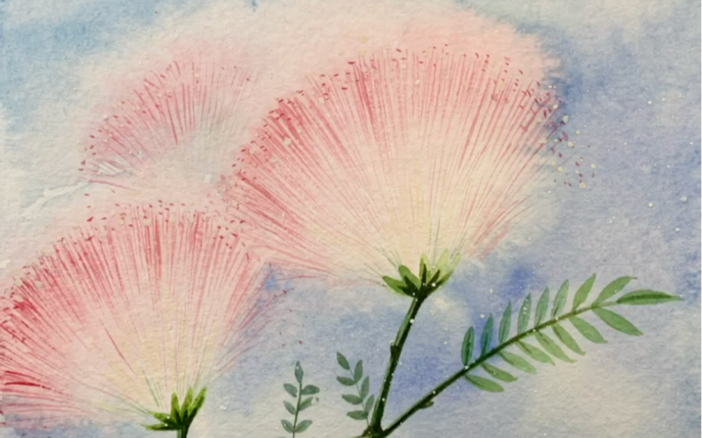 水彩合欢花