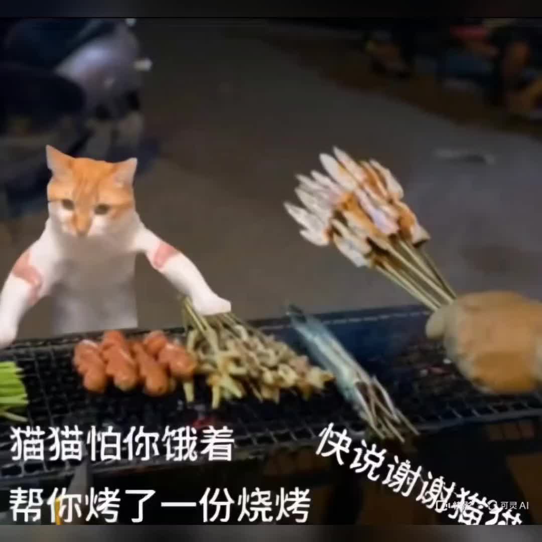 猫大爷给你烤烧烤了!
