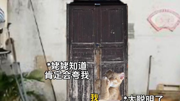 童年里那些专属的爱#故事源于网络#猫meme剧场哔哩哔哩bilibili