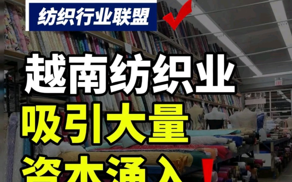 第181集丨狂飙的越南纺织产业,人工已经到了“月薪三千”水平?#纺织 #纺织交流 #纺织交流群 #纺织群 #纺织面料源头工厂 #纺织联盟哔哩哔哩bilibili