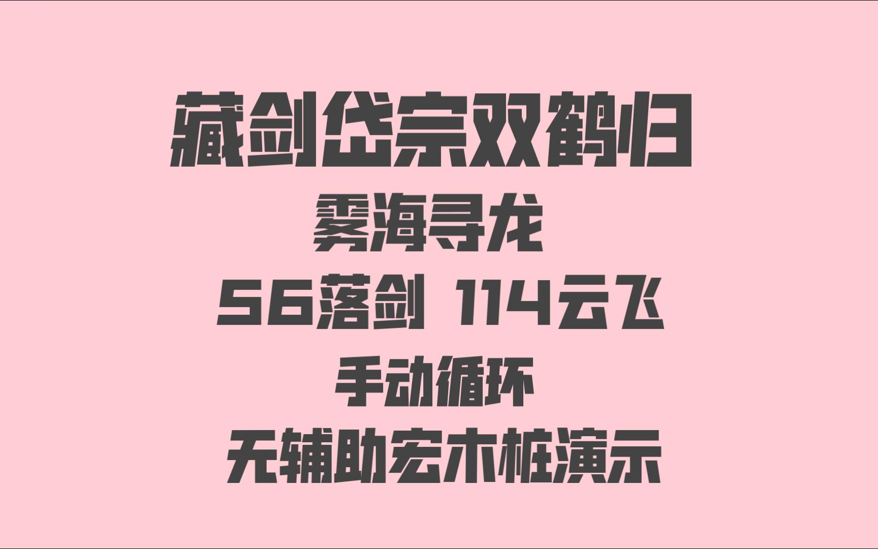 【雾海寻龙】藏剑岱宗双鹤归循环 56落剑114云飞 无辅助宏 模拟手动木桩演示网络游戏热门视频