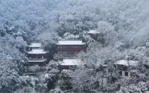 下载视频: 灵隐寺飞雪｜万籁此都寂，但余钟磬音