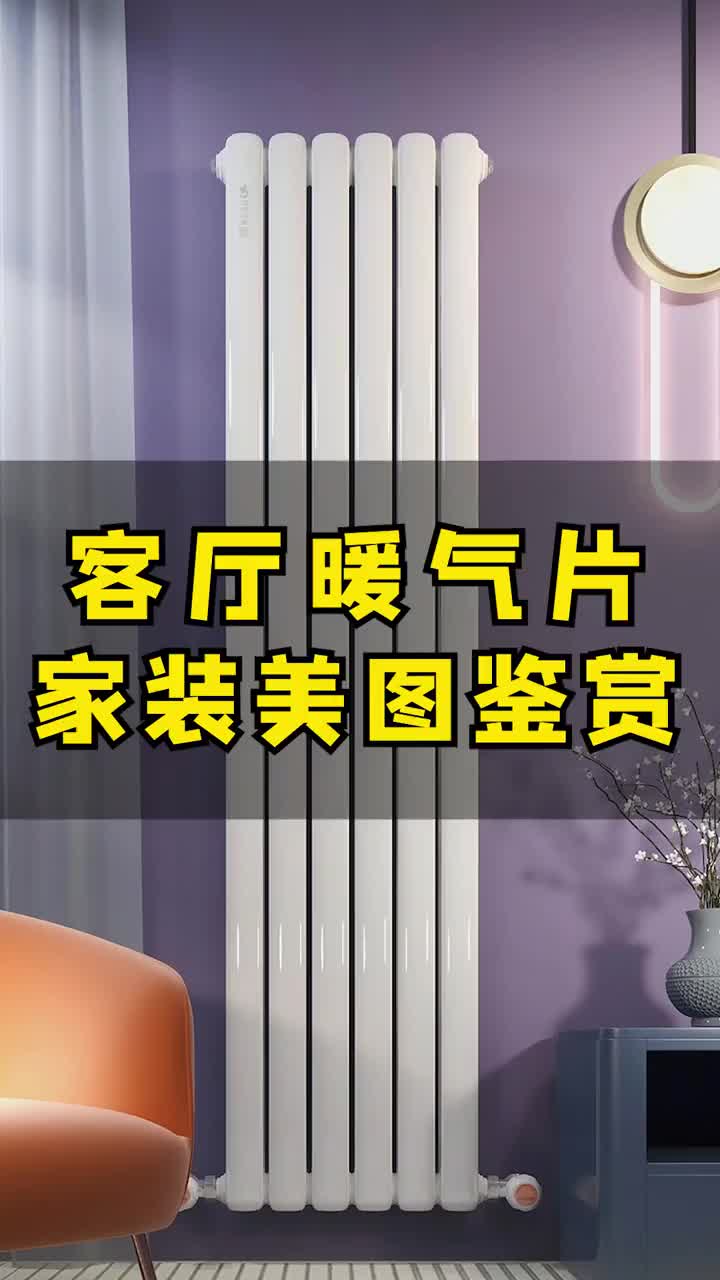 客厅安装暖气片是什么样子的哔哩哔哩bilibili