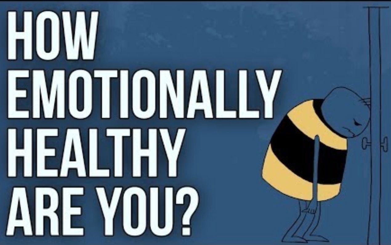 [图]【The School Of Life】你的情绪健康吗 How Emotionally Healthy Are You