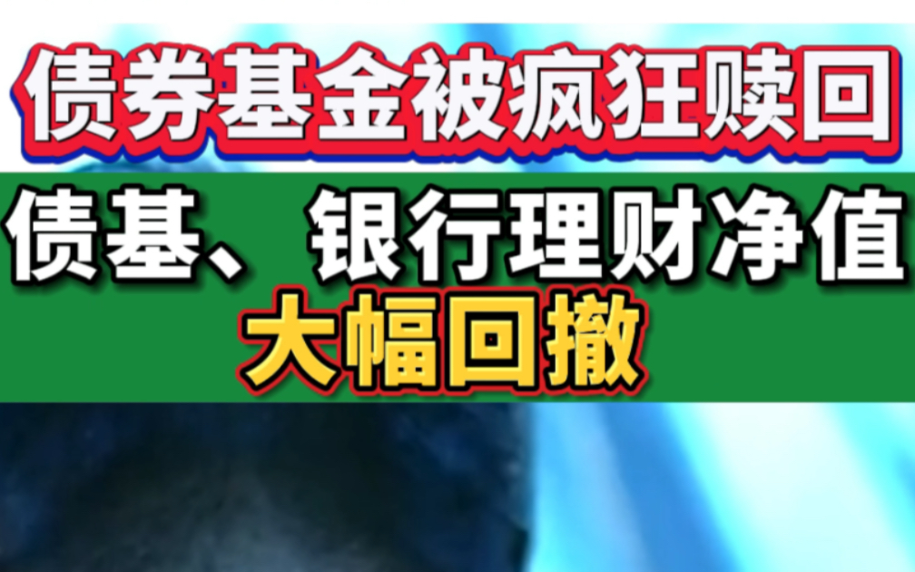 债券基金被疯狂赎回,债基、银行理财净值大幅回撤哔哩哔哩bilibili