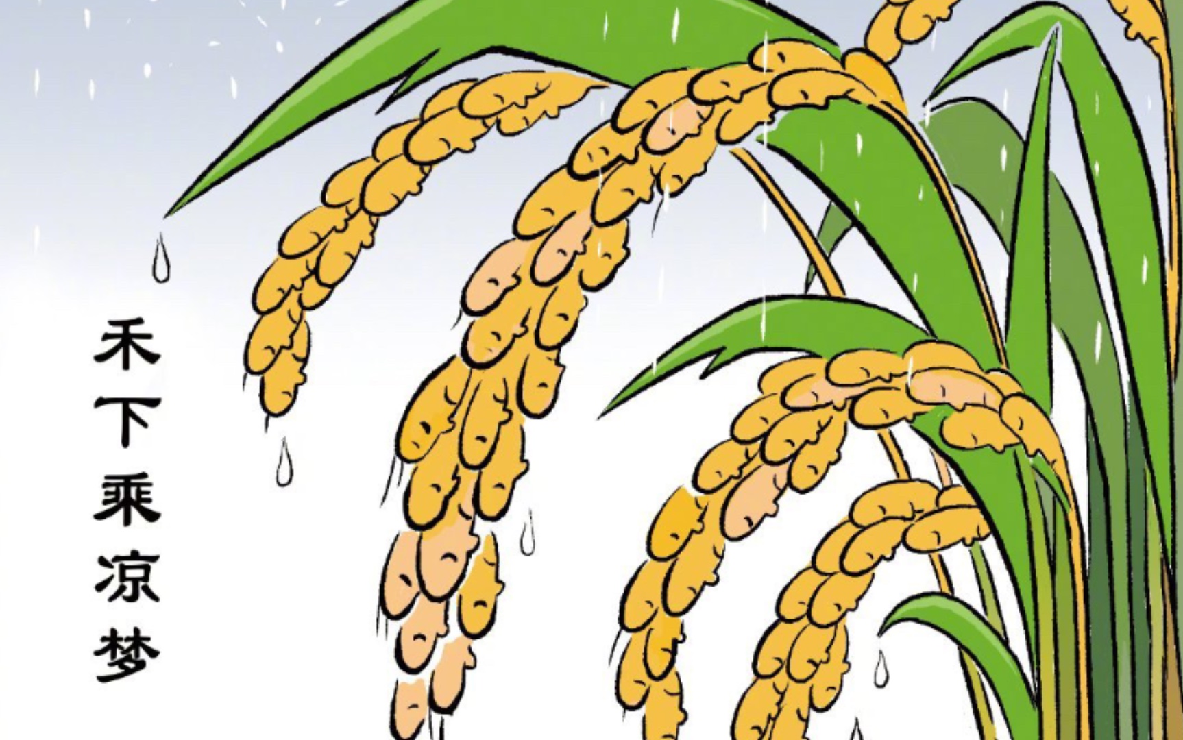 水稻成熟卡通图片图片