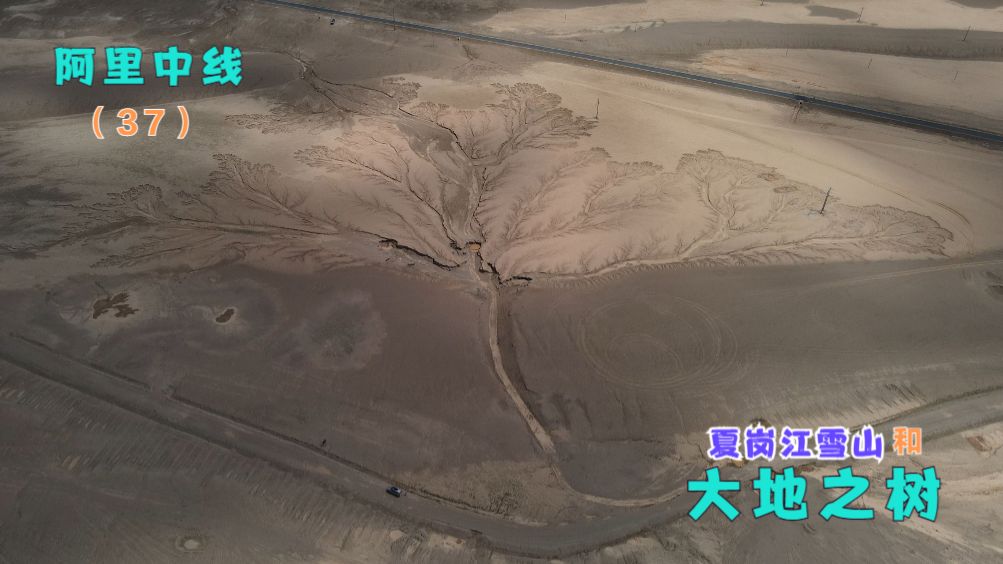 阿里中线(37)夏岗江雪山和大地之树(措勤县改则先遣乡)哔哩哔哩bilibili