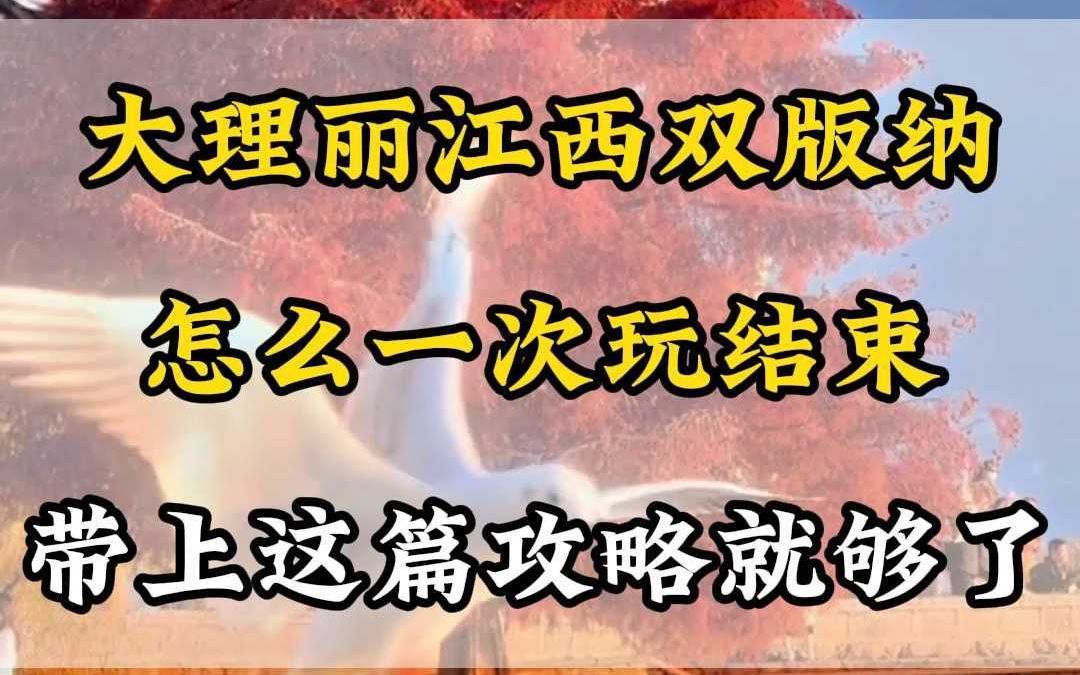 怎么才能一次玩遍大理丽江西双版纳?带上这篇云南旅游攻略就够了哔哩哔哩bilibili