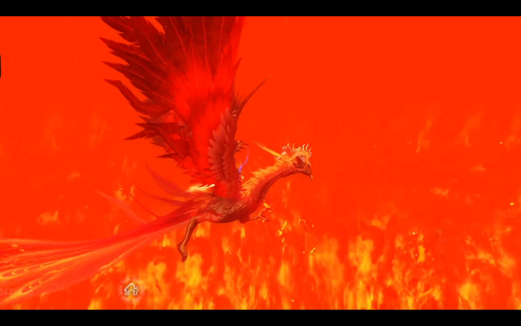 妄想山海目前最帅鸟类宠物万年金乌