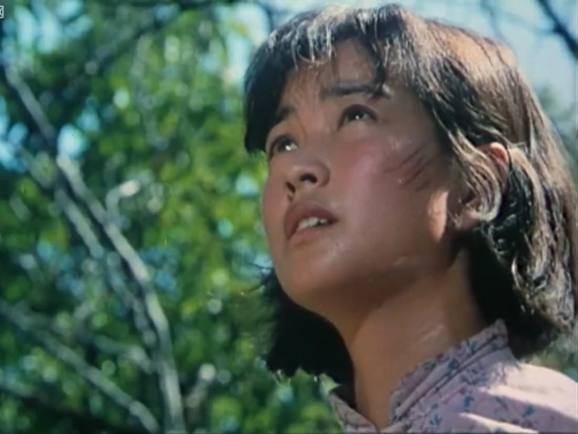 刘晓庆-1979《小花》