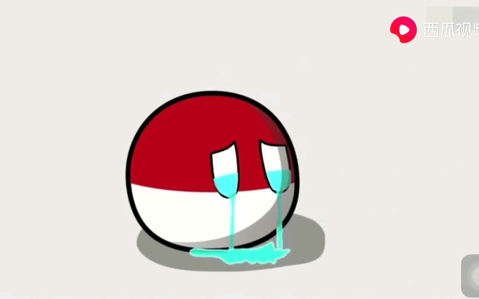 波兰球哭泣表情包图片