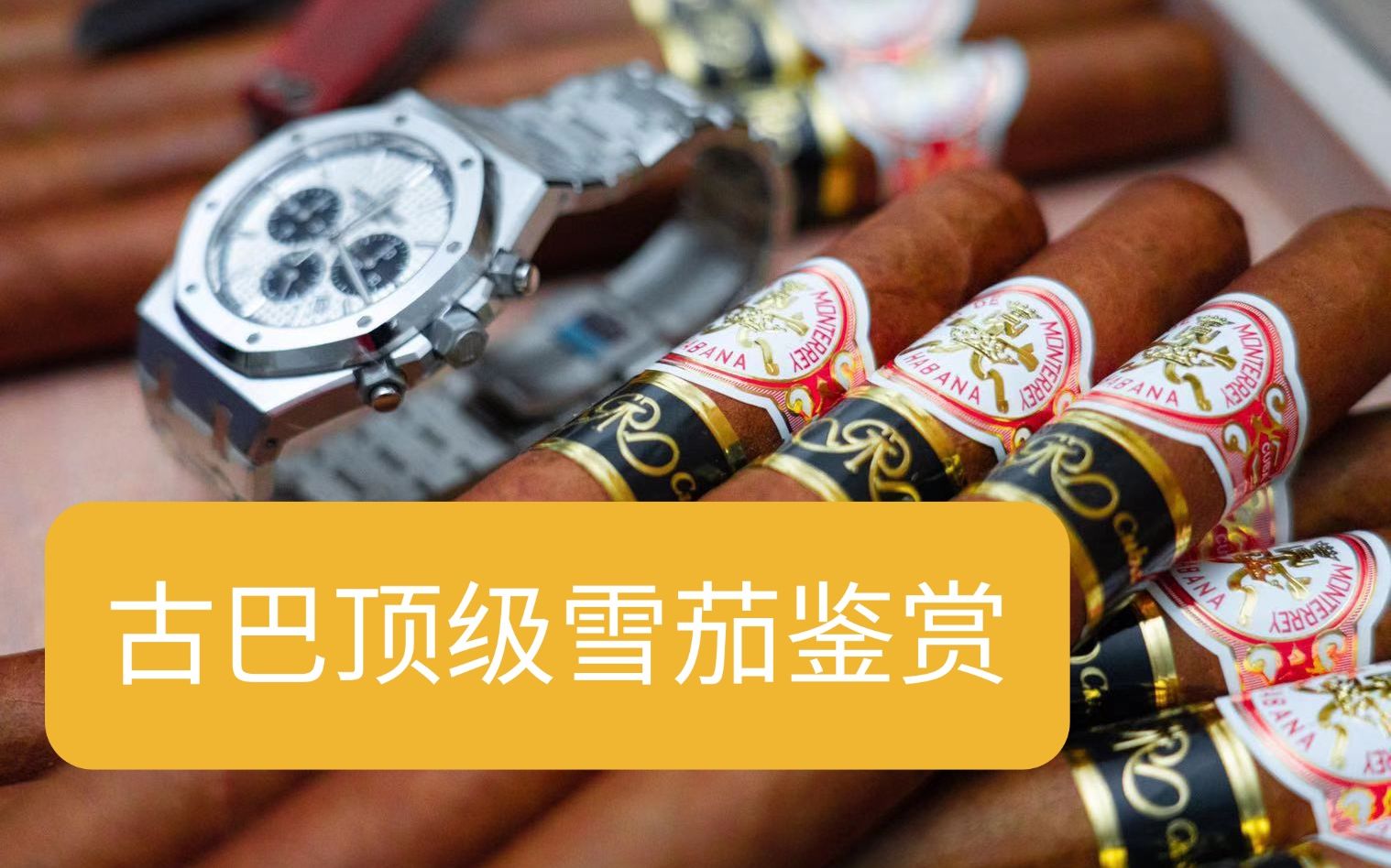 好友特级珍藏雪茄开箱 HOYO DE MONTERREY DOUBLE CORONAS GRAN RESERVA COSECHA 2013哔哩哔哩bilibili