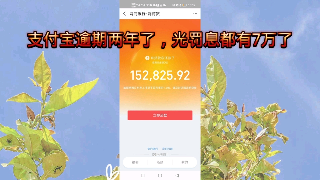 我的支付宝逾期两年了,光罚息都有7万了,咋办?哔哩哔哩bilibili